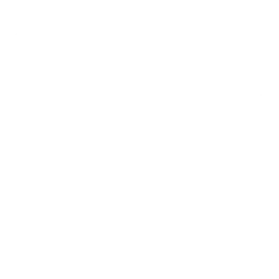 Healthy Meal Icon