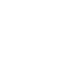 Expert Teacher Icon